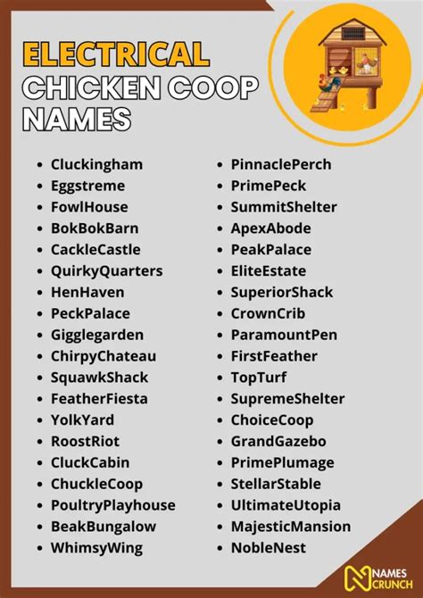 350 Funny Chicken Coop Names Names Crunch