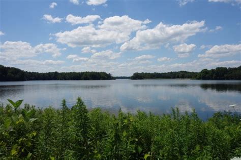 We did not find results for: Worster Lake - Picture of Potato Creek State Park, North ...