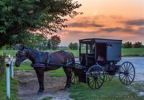 Simple Pleasures Amish Love Amish Farm Amish Country Amish Culture