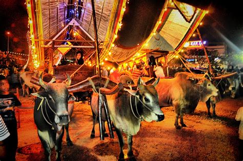 Check spelling or type a new query. Basikal Melaka: Perarakan Kenderaan Klasik bersempena ...