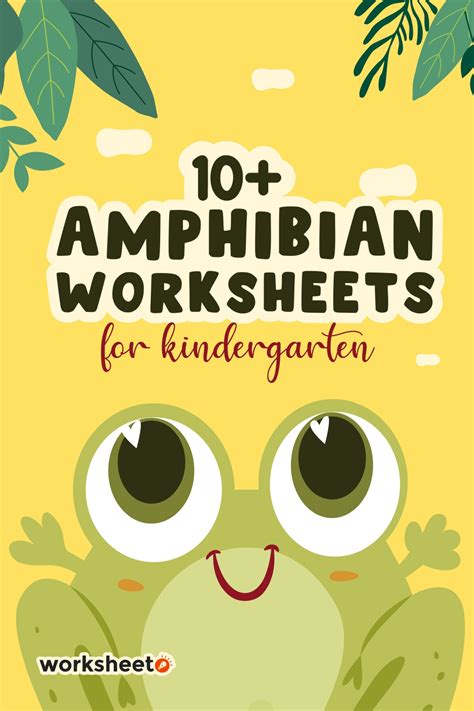 Amphibian Worksheet Kindergarten