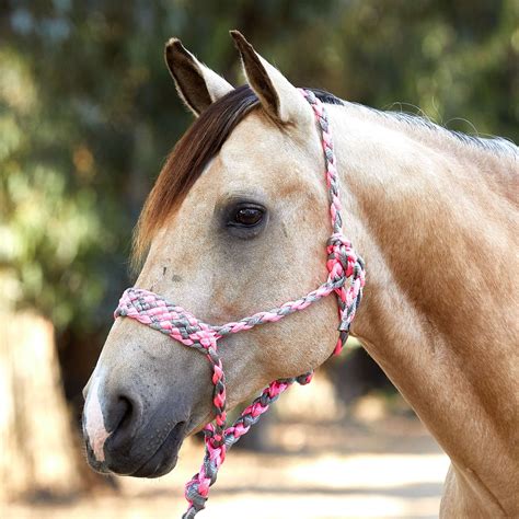 Weaver Braided Rope Halter With 6 Lead Riding Warehouse