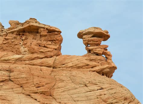 Free Images Landscape Rock Wood Desert Formation Cliff Arch