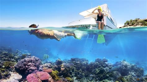 Best Snorkeling In The Caribbean Snorkelingdivescom Youtube