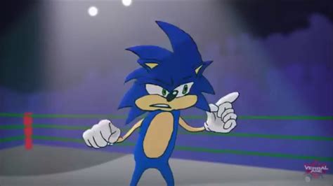 Sonic Hedgehog Swearing Youtube