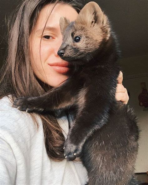 Woman Rescues This Sable From Becoming Someones Coat Decides To Keep