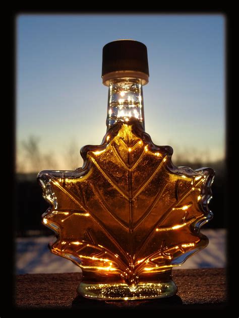 Maple syrup is made from the sap of maple trees. Maple Syrup Season: Our Favorite Maple Syrup Recipes - One ...