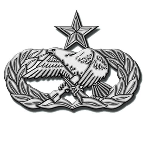Air Force 7 Level Badge Airforce Military