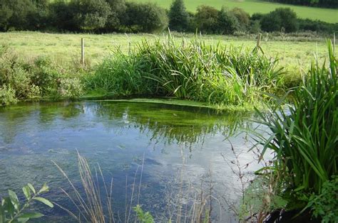 Smarter Water Catchment Chalk Streams Chalk Streams