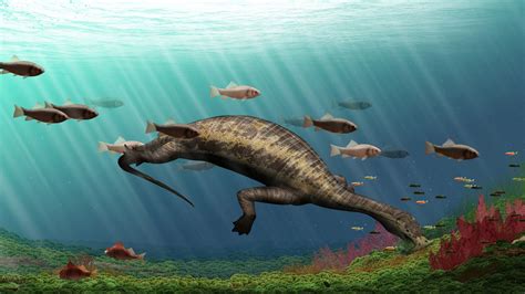Fossil Gives Clues To Extinction 250 Million Years Ago Bbc News