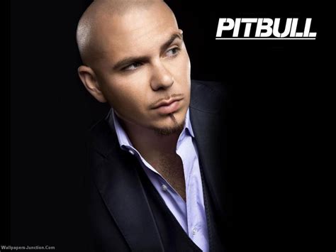 pitbull rapper wallpaper pitbull wallpaper in 2022 pitbull rapper pitbull songs pitbull
