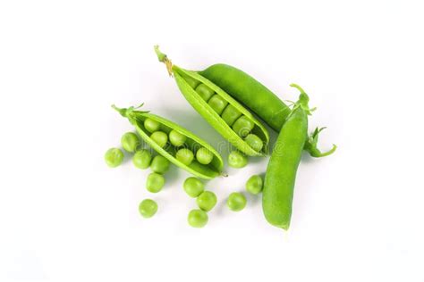 Peas And Pea Pods Stock Image Image Of Fruit Dieting 31772929