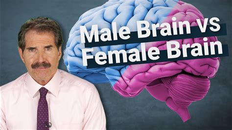Stossel The Science Around Male Brains Vs Female Brains Youtube