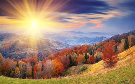 Autumn Forest Sunrise Wallpapers 2560x1600 1733844