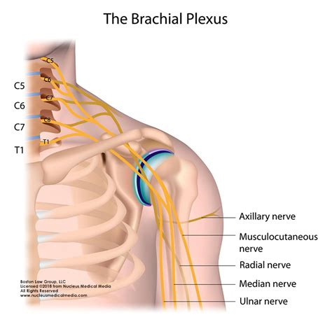 The dynamic duo of shoulder impingement. Shoulder Dystocia - Boston Law Group, LLC