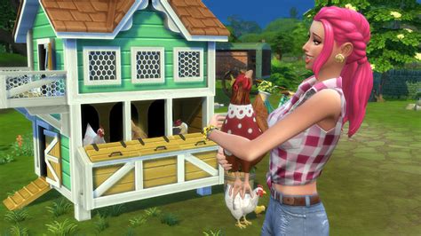 Sims 4 Cottage Living Chickens Disappeared After Fair