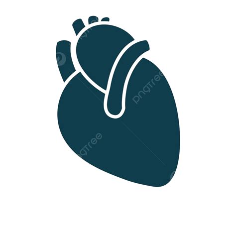 Icono Del Corazón Humano Anatomía Médica Png Buque Elemento Latido