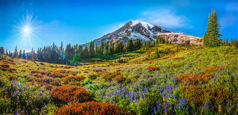 Desktop Wallpapers Washington Usa Panoramic Mount Rainier National