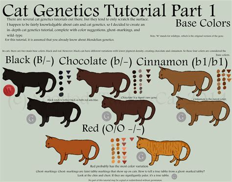 A solid white coat may be caused by any of three genetic mechanisms, which are completely different although they are not shown on the chart, tortoiseshell cats can also have tabby patterns. Cat Genetics Tutorial Part 1 (Base Colors) by Spotted ...