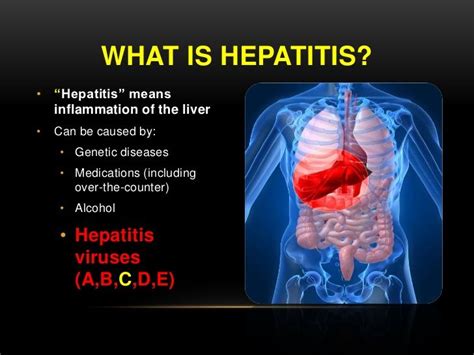 Pin On Hepatitis And Sexually Transmitted Diseases Explai