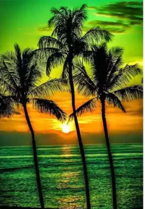 Us Seller 50x40cm Tropical Sunset Green Palm Trees Ocean Beach