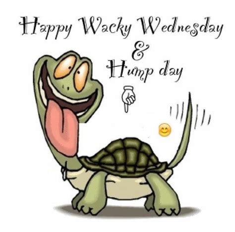 Wacky Wednesday Happy Wednesday Humor
