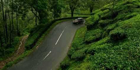 Munnar, kerala, india weather conditionsstar_ratehome. Munnar, the beloved hill station of Kerala records sub ...