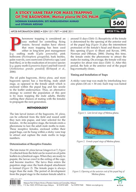 And cremastopsyche pendula joannis, are major pests of oil palms in sabah. (PDF) A Sticky Vane Trap for Mass Trapping of the Bagworm ...