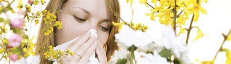 Diagnosis Cold Or Allergy T Medi