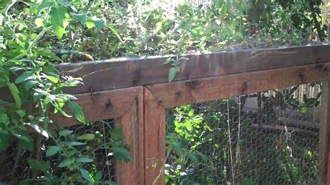 Raised Bed Planter Box With Chicken Wire Youtube