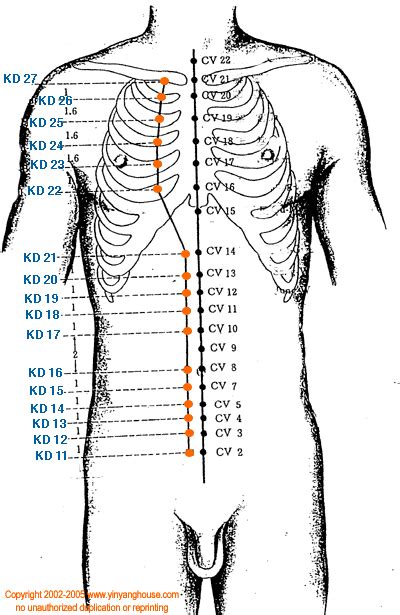 Yin Yang House Kidney Meridian Acupuncture Points Database