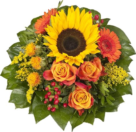 dominik blumen und pflanzen blumenstrauß sonnenlicht mit einer sonnenblume orangen rosen