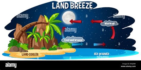 Science Poster Design For Land Breeze Illustration Stock Vector Image