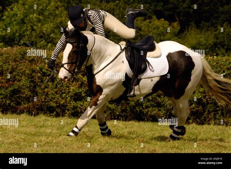 Rider Being Thrown From Falling Off Of Horse In Mid Air Stock Photo Alamy