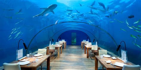 5 Underwater Restaurants And Bars Around The World Huffpost