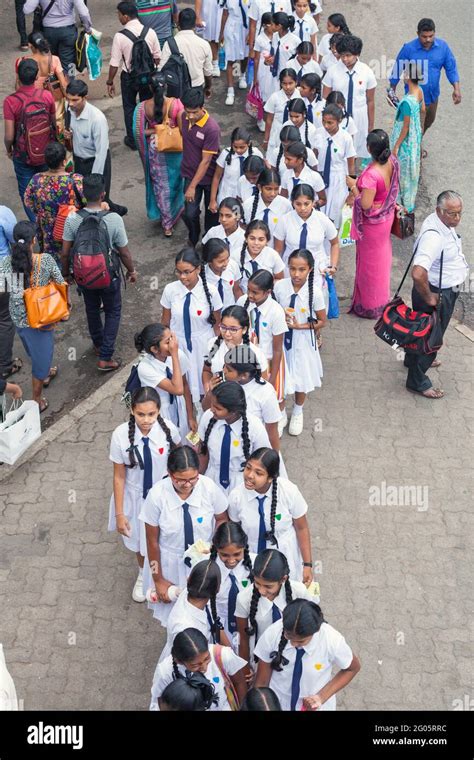 Large Group Of Sri Lankan Schoolgirls Walk In Twos Snaking Through Colombo Street Sri Lanka