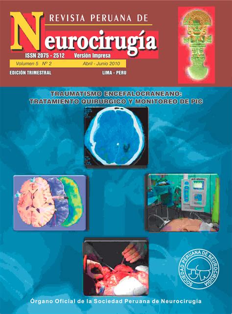 Previous Issues 2 Peruvian Journal Of Neurosurgery