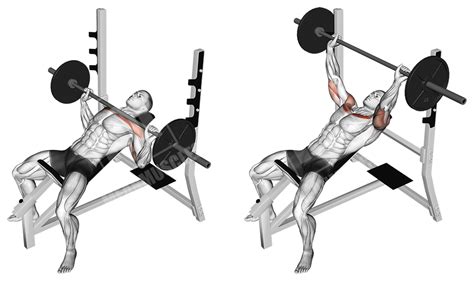 Minute Chest Workout At Home Bench Press For Build Muscle Fitness