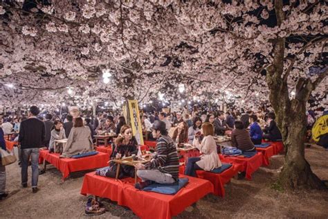 Hanami Cherry Blossom Viewing In Japan Hanami Japan Japan Travel