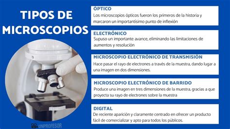 Tipos De Microscopio Y Sus Funciones Con Im Genes