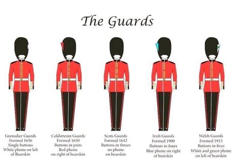 Buckingham Palace Uniforms Royal Guard Summer Uniform On Sentry Duty