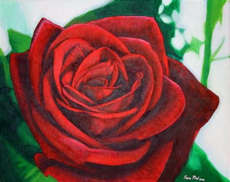 Red Rose Painting By Harm Plat Fine Art America