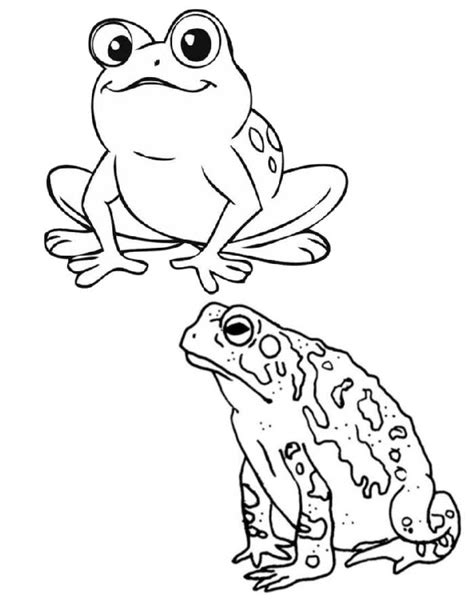 Frog And Toad Coloring Page