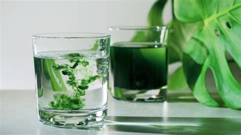 Are There Really Benefits To Drinking Chlorophyll