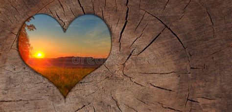 Background Heart Sunset Wood Stock Photo Image Of Romantic