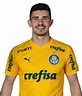 Vinicius :: Vinicius Silvestre da Costa :: Palmeiras