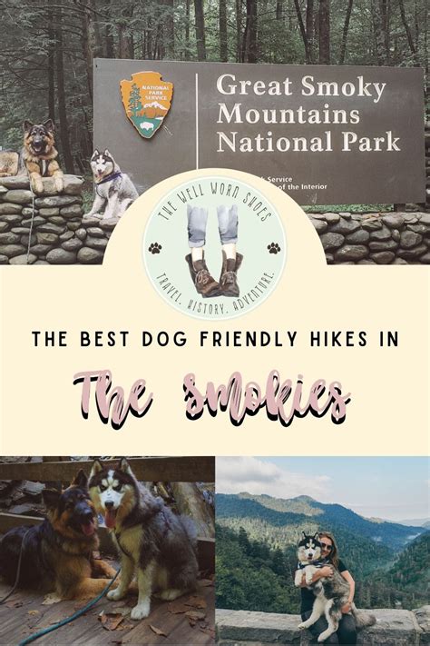 The Best Dog Friendly Hikes in the Smokies! | Smokey mountains national