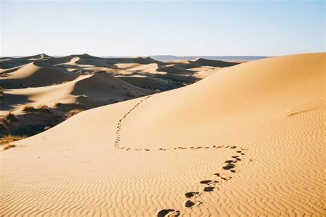 10 Photos To Inspire You To Visit The Sahara Desert In Morocco Bon