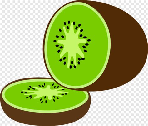 Kiwi Cartoon Picture Of A Kiwi Png Download 600x511 2211333 Png