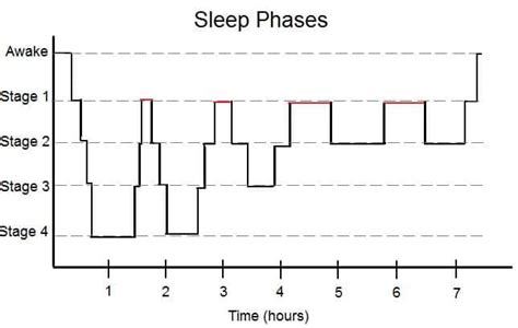 Consciousness And Sleep Rem Stages Of Sleep Teachmephysiology